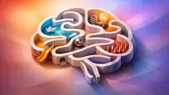 Brain Test: Tricky Puzzles – A Cultural Phenomenon in Mobile Gaming header